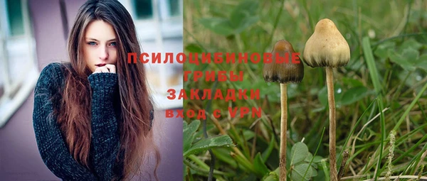 спайс Абдулино